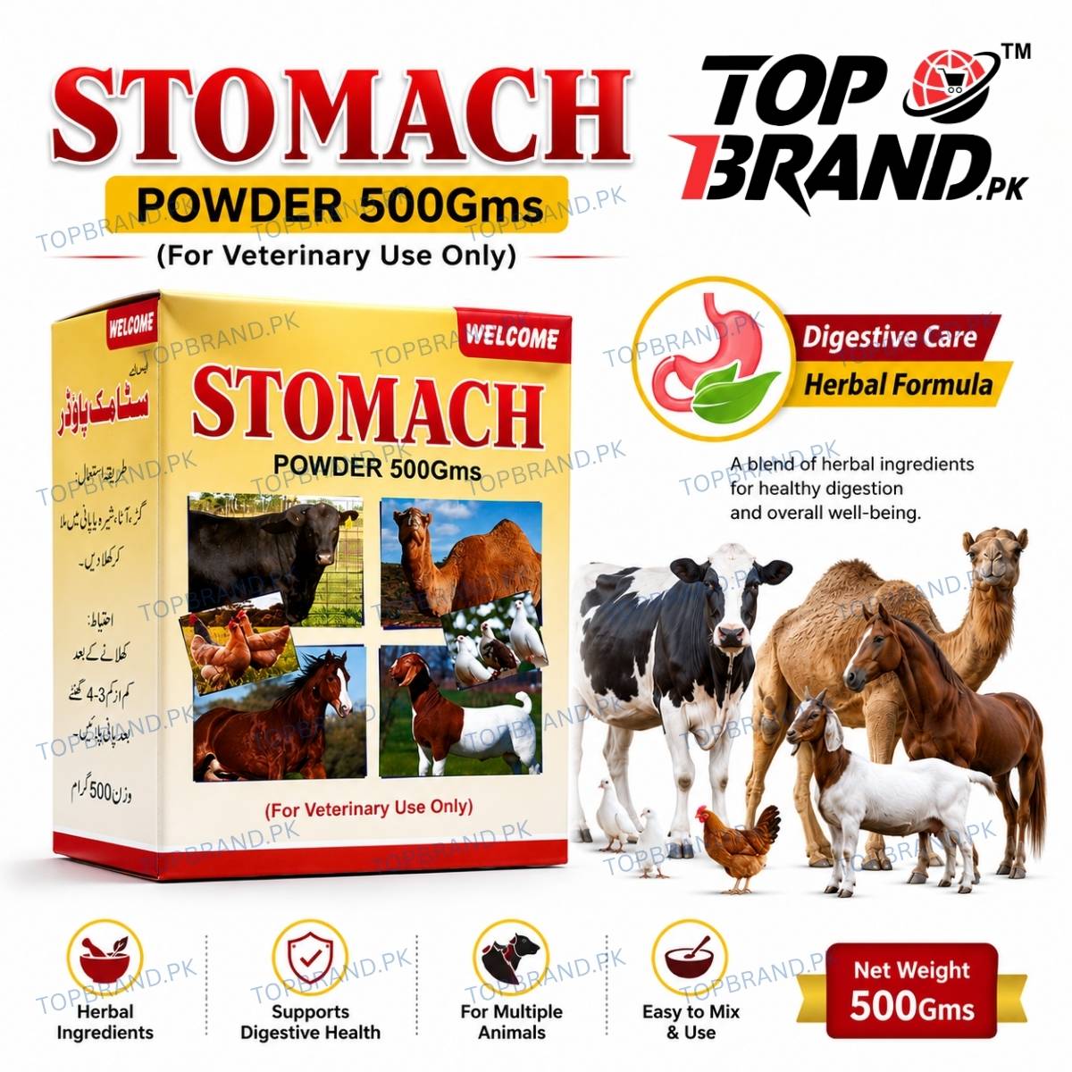 Welcome Stomach Powder 500g (Hazma Masala)