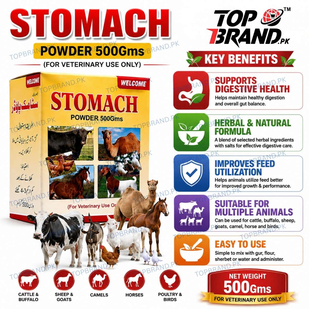 Welcome Stomach Powder 500g (Hazma Masala)