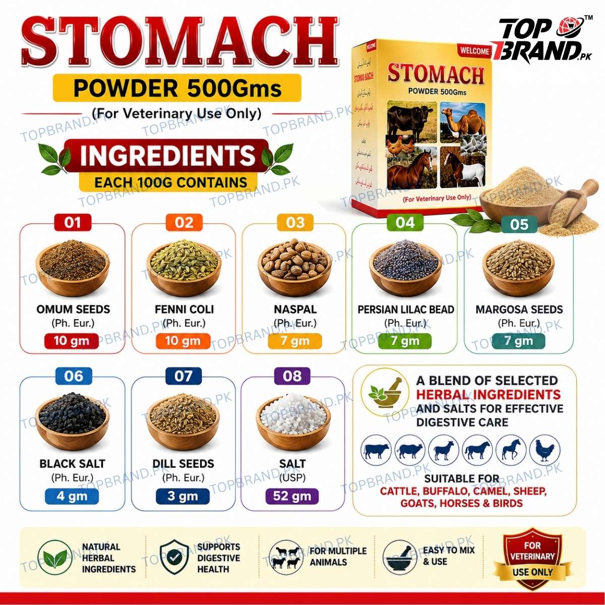 Welcome Stomach Powder 500g (Hazma Masala)