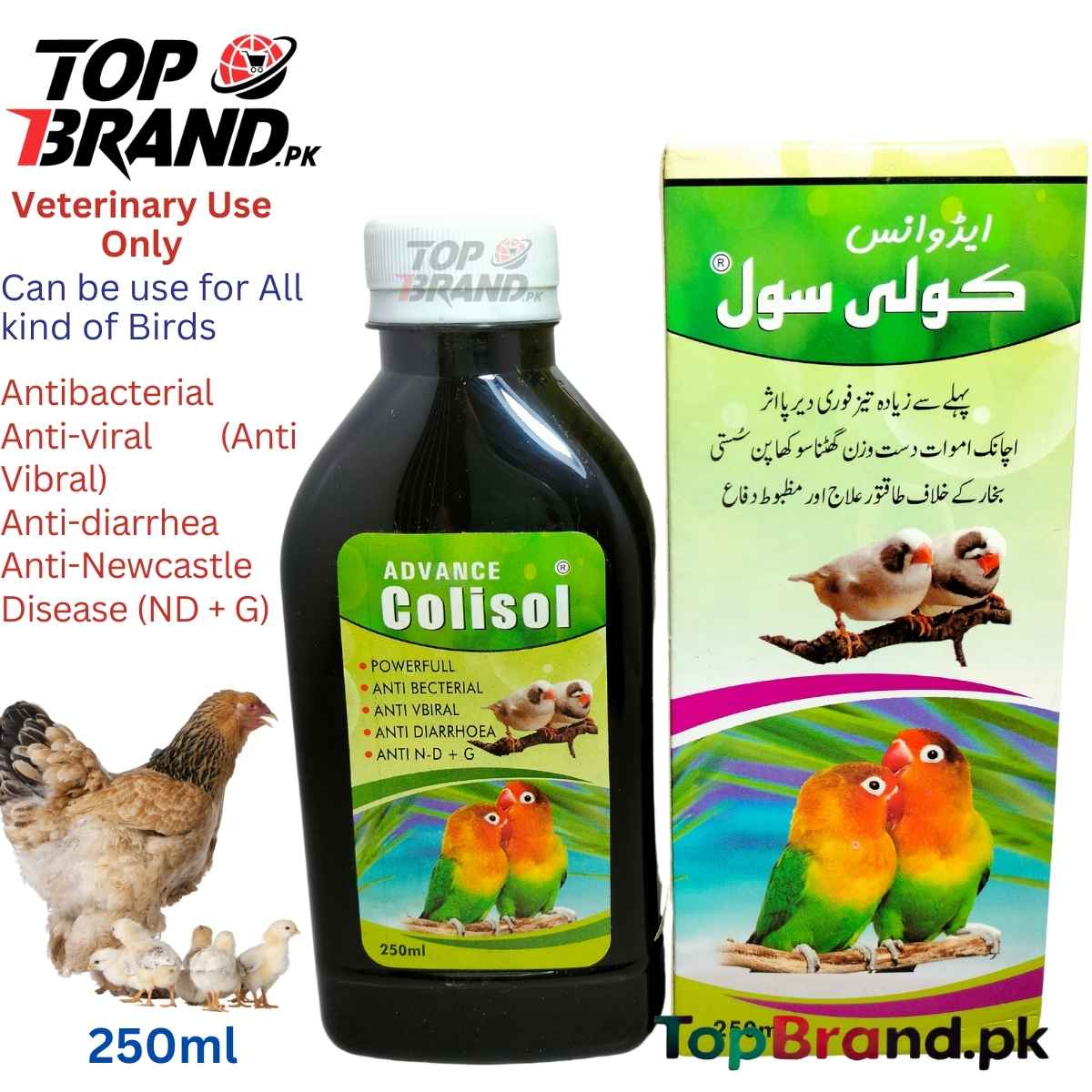 Advance Colisol - Antibecterial Medicine for Birds