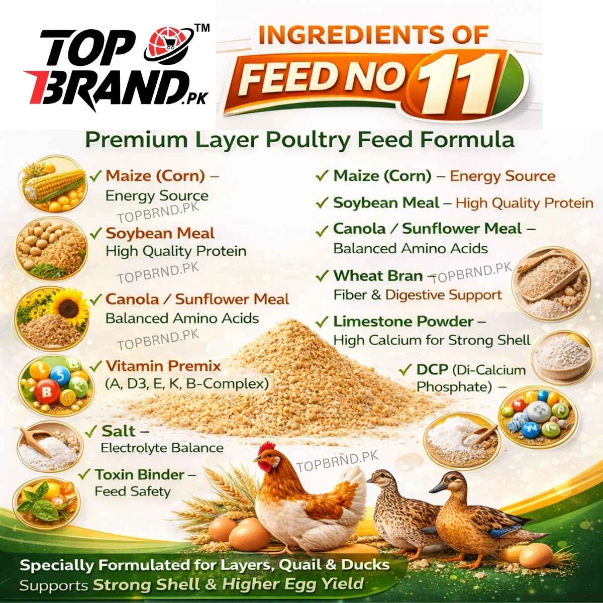 11 No Poultry Feed for Layer Chicken Chicks Feed