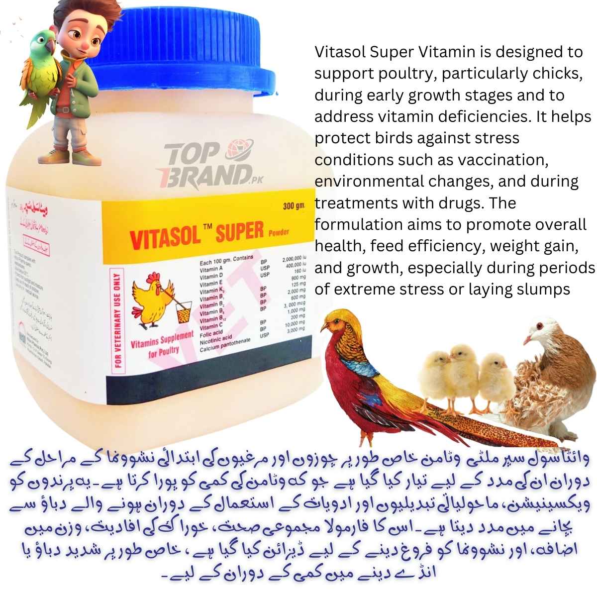 Vitasol Super Multivitamins Powder for Birds – Essential Nutrition for Poultry & Fancy Birds