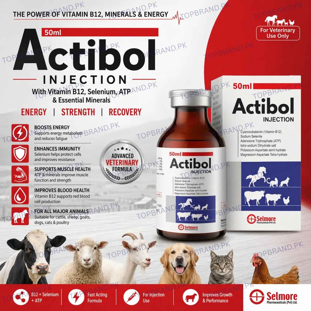 vitamin b12 injection dogs BPC-157 main image 0