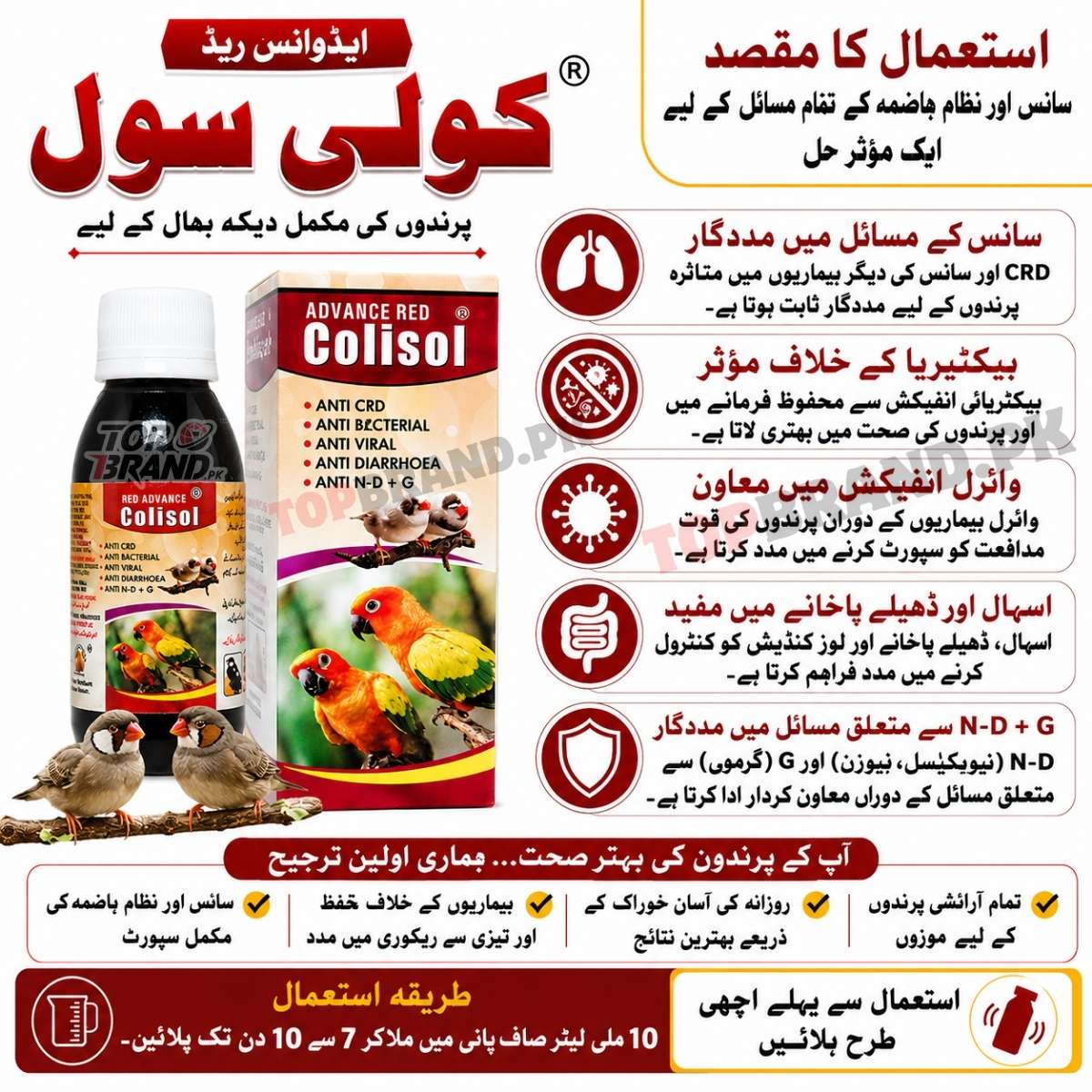 Advance Red Colisol (60ml) (Anti CRD, Antibacterial & Antiviral Liquid for Birds) Diarrhoea, Loose Motion, Respiratory Care &amp; Digestive Helth Support for Birds