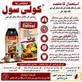 Advance Red Colisol (60ml) (Anti CRD, Antibacterial & Antiviral Liquid for Birds) Diarrhoea, Loose Motion, Respiratory Care &amp; Digestive Helth Support for Birds