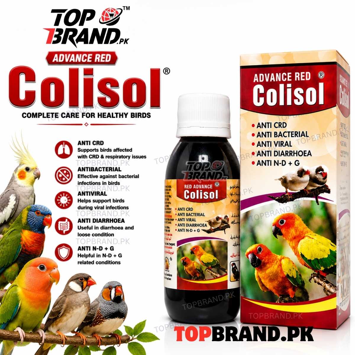 Advance Red Colisol (60ml) (Anti CRD, Antibacterial & Antiviral Liquid for Birds) Diarrhoea, Loose Motion, Respiratory Care &amp; Digestive Helth Support for Birds