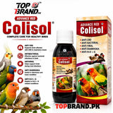 Advance Red Colisol (60ml) (Anti CRD, Antibacterial & Antiviral Liquid for Birds) Diarrhoea, Loose Motion, Respiratory Care &amp; Digestive Helth Support for Birds