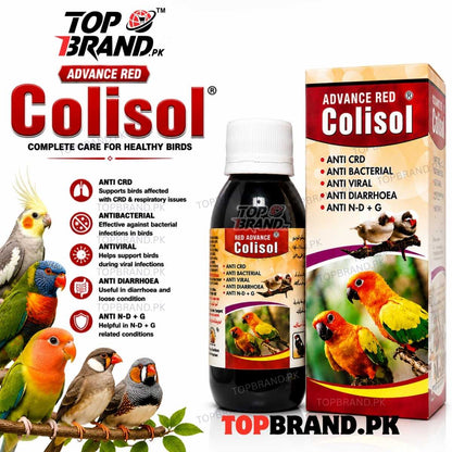 Advance Red Colisol (60ml) (Anti CRD, Antibacterial & Antiviral Liquid for Birds) Diarrhoea, Loose Motion, Respiratory Care &amp; Digestive Helth Support for Birds