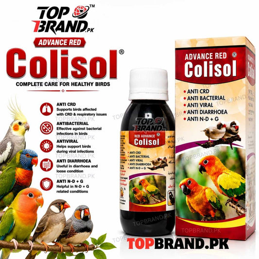 Advance Red Colisol (60ml) (Anti CRD, Antibacterial & Antiviral Liquid for Birds) Diarrhoea, Loose Motion, Respiratory Care &amp; Digestive Helth Support for Birds