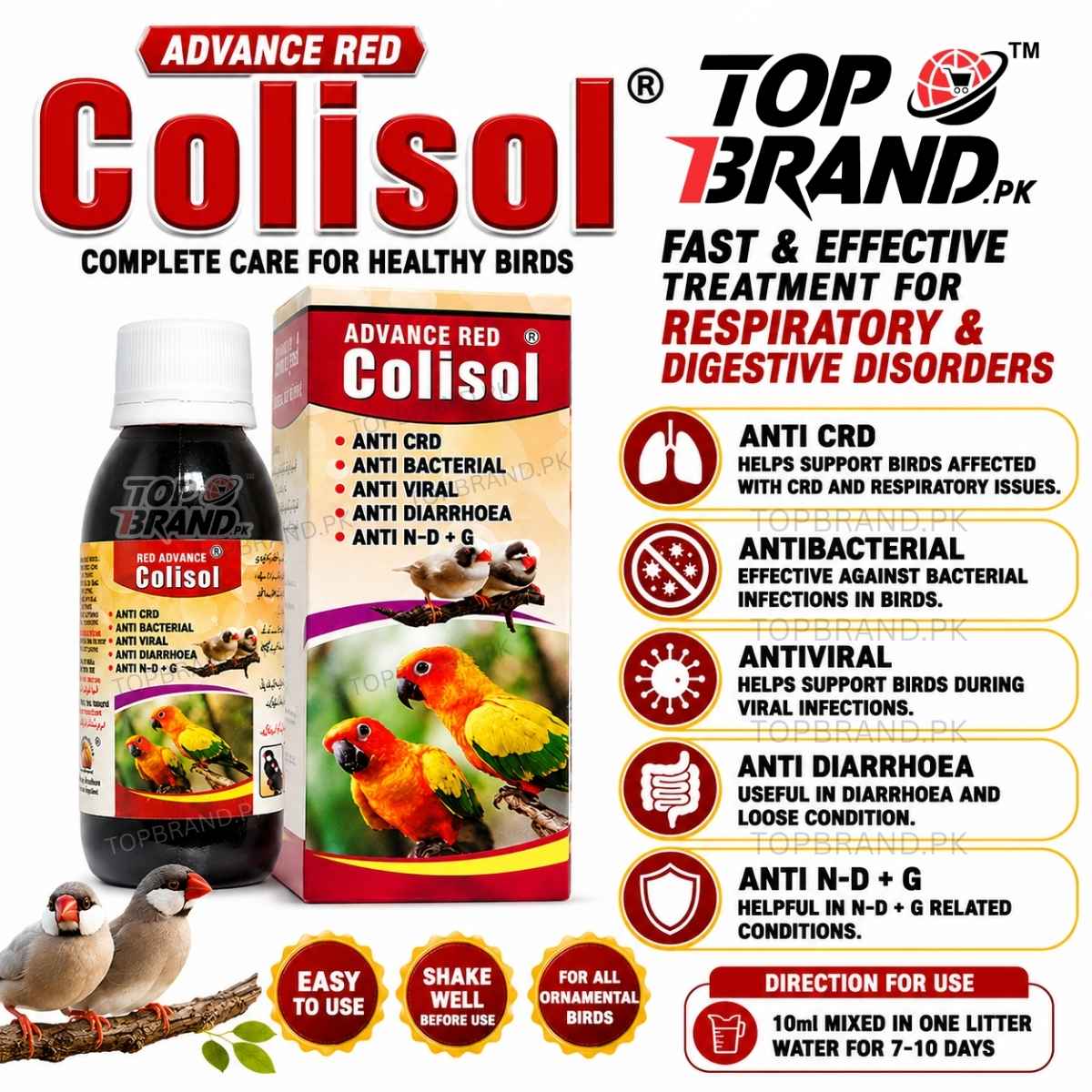 Advance Red Colisol (60ml) (Anti CRD, Antibacterial & Antiviral Liquid for Birds) Diarrhoea, Loose Motion, Respiratory Care &amp; Digestive Helth Support for Birds