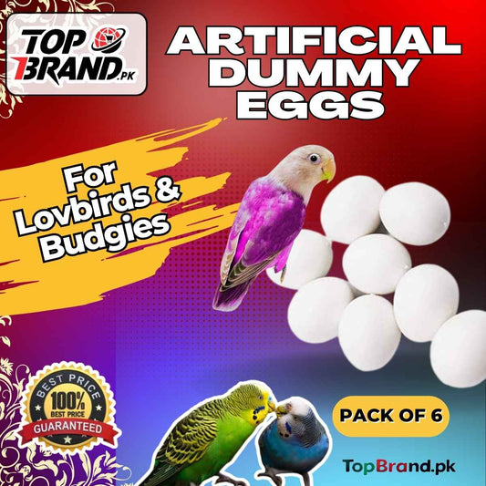 Artificial | Dummy Plastic Eggs for Budgies, Love Birds & Doves (Light Weight Egg Hollow from Inside)