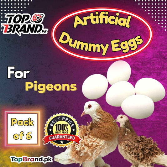 Pack of 6 Artificial | Dummy Plastic Eggs Pigeons (Light Weight Egg Hollow from Inside)