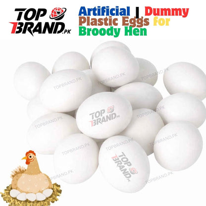 Artificial | Dummy Plastic Eggs for Broody Hen (Light Weight Egg Hollow from Inside)