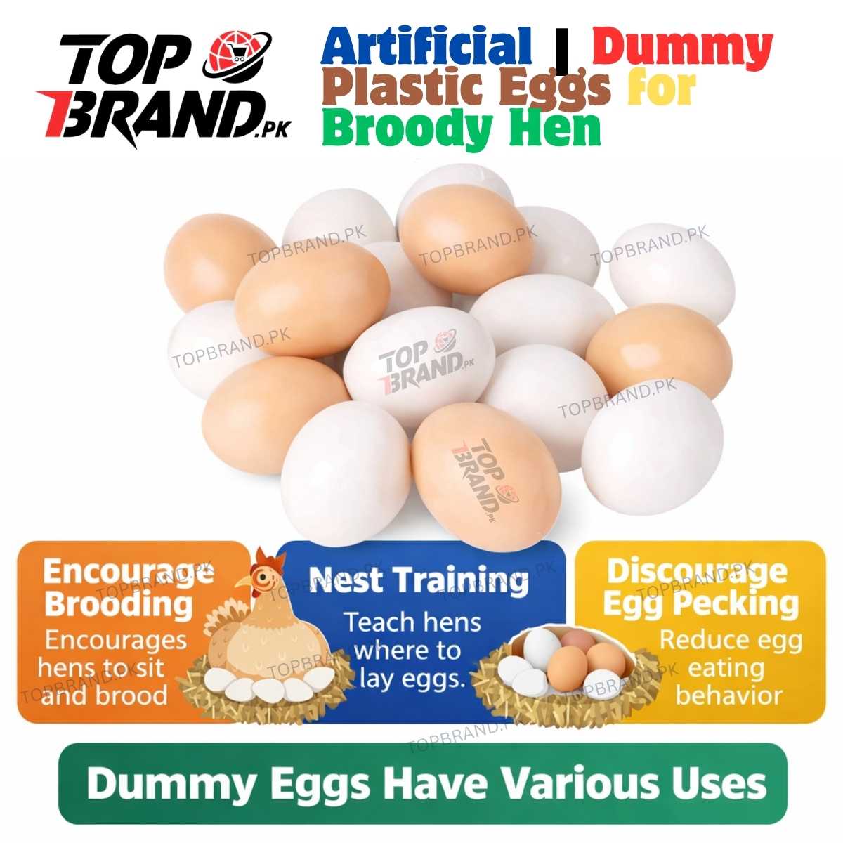 Artificial | Dummy Plastic Eggs for Broody Hen (Light Weight Egg Hollow from Inside)