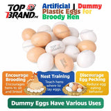 Artificial | Dummy Plastic Eggs for Broody Hen (Light Weight Egg Hollow from Inside)