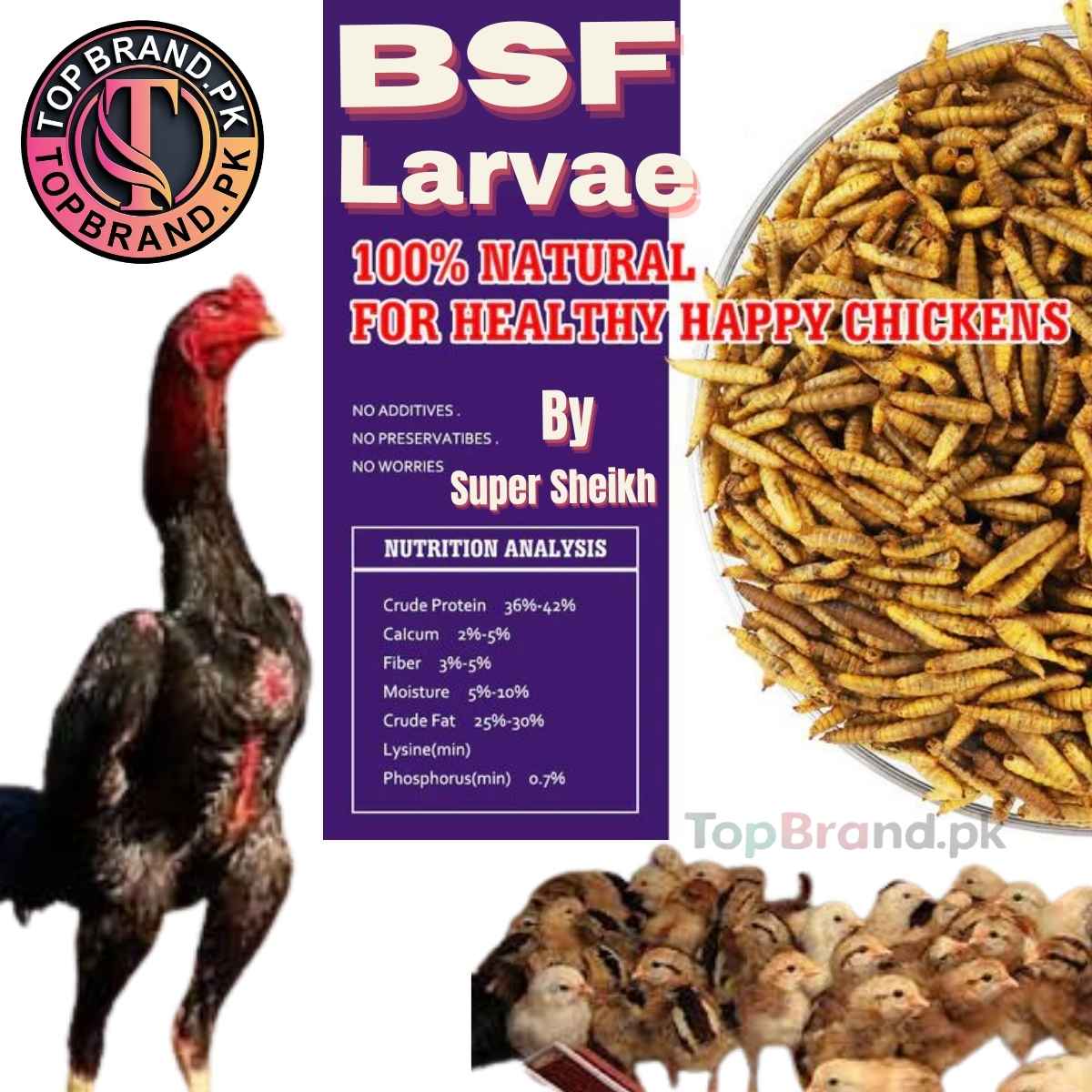 BSF Larvae for birds
BSF Larvae for reptiles
Black Soldier Fly Larvae feed
High-protein feed for birds
Sustainable pet food BSF
Natural BSF Larvae
Bird breeding feed
BSF Larvae for fish
Eco-friendly pet food BSF
Nutrient-rich feed for reptiles
