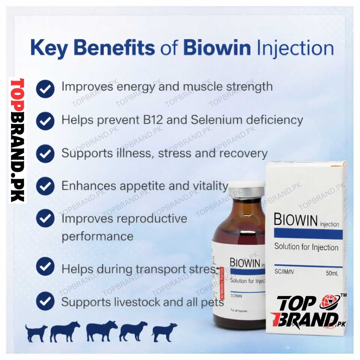 Biowin 50ml – Veterinary Vitamin B12, Selenium & Metabolic Support Formula