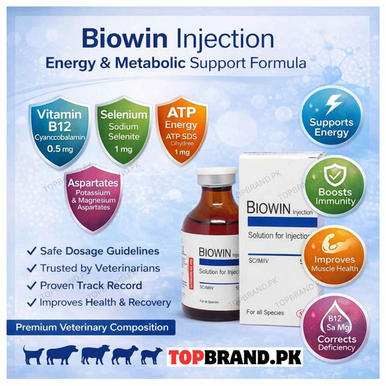 Biowin 50ml – Veterinary Vitamin B12, Selenium & Metabolic Support For ...