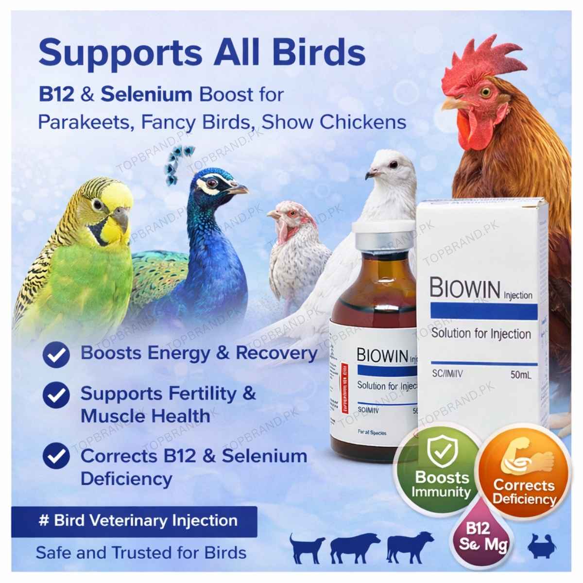Biowin 50ml – Veterinary Vitamin B12, Selenium & Metabolic Support Formula