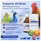 Biowin 50ml – Veterinary Vitamin B12, Selenium & Metabolic Support Formula