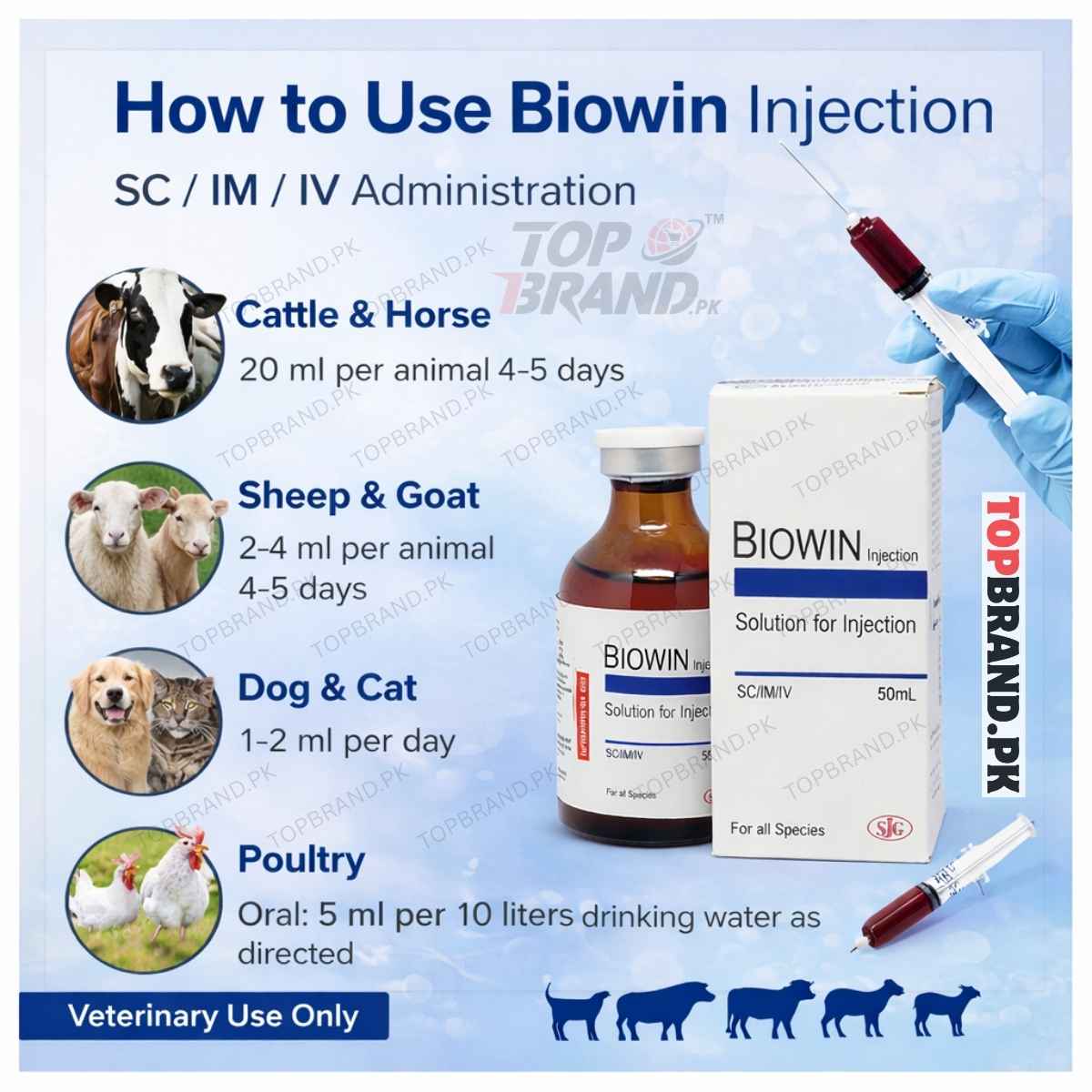 how fast does a b12 injection start working Biowin 50ml – Veterinary Vitamin B12, Selenium & Metabolic Support For– Top  Brand