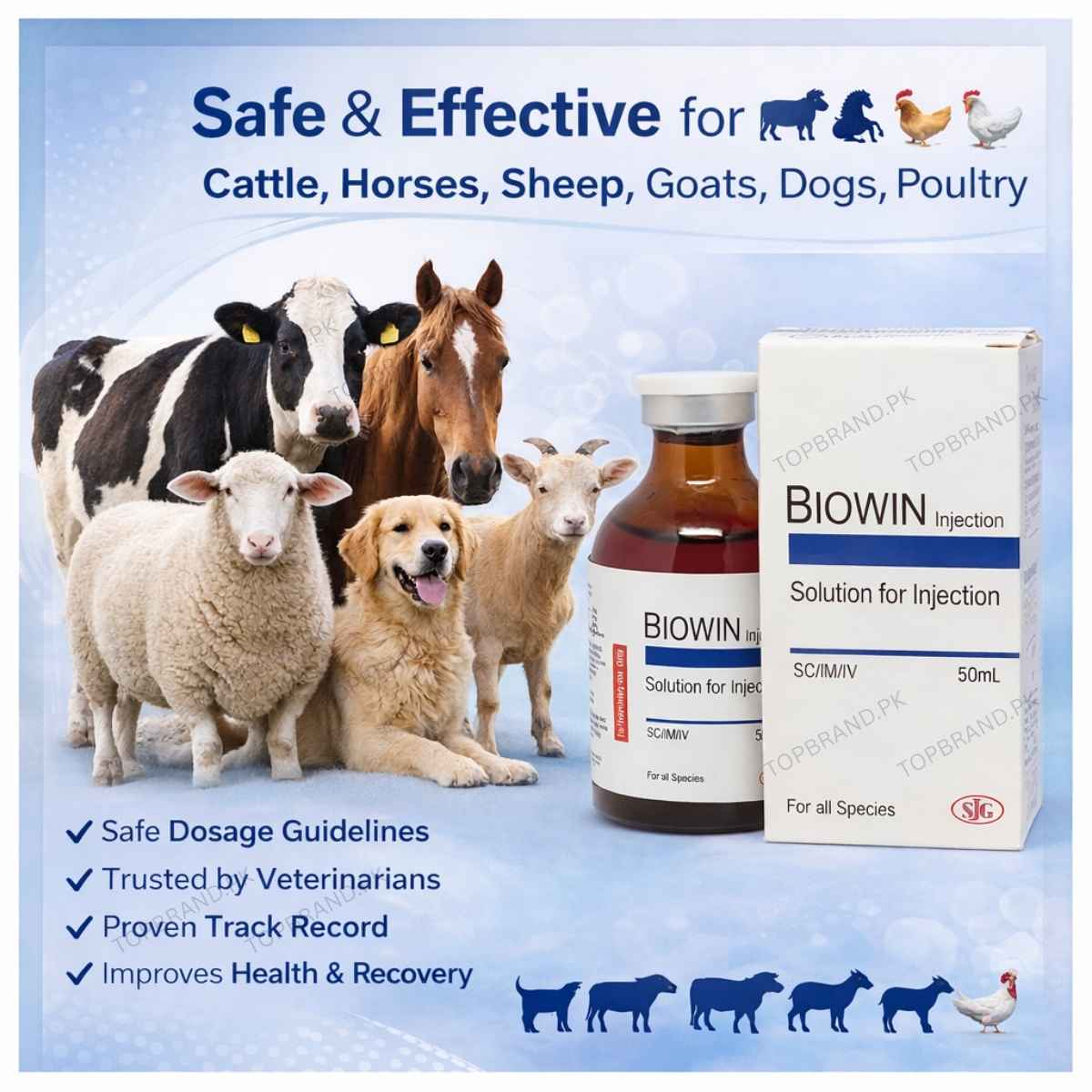 Biowin 50ml – Veterinary Vitamin B12, Selenium & Metabolic Support For– Top  Brand