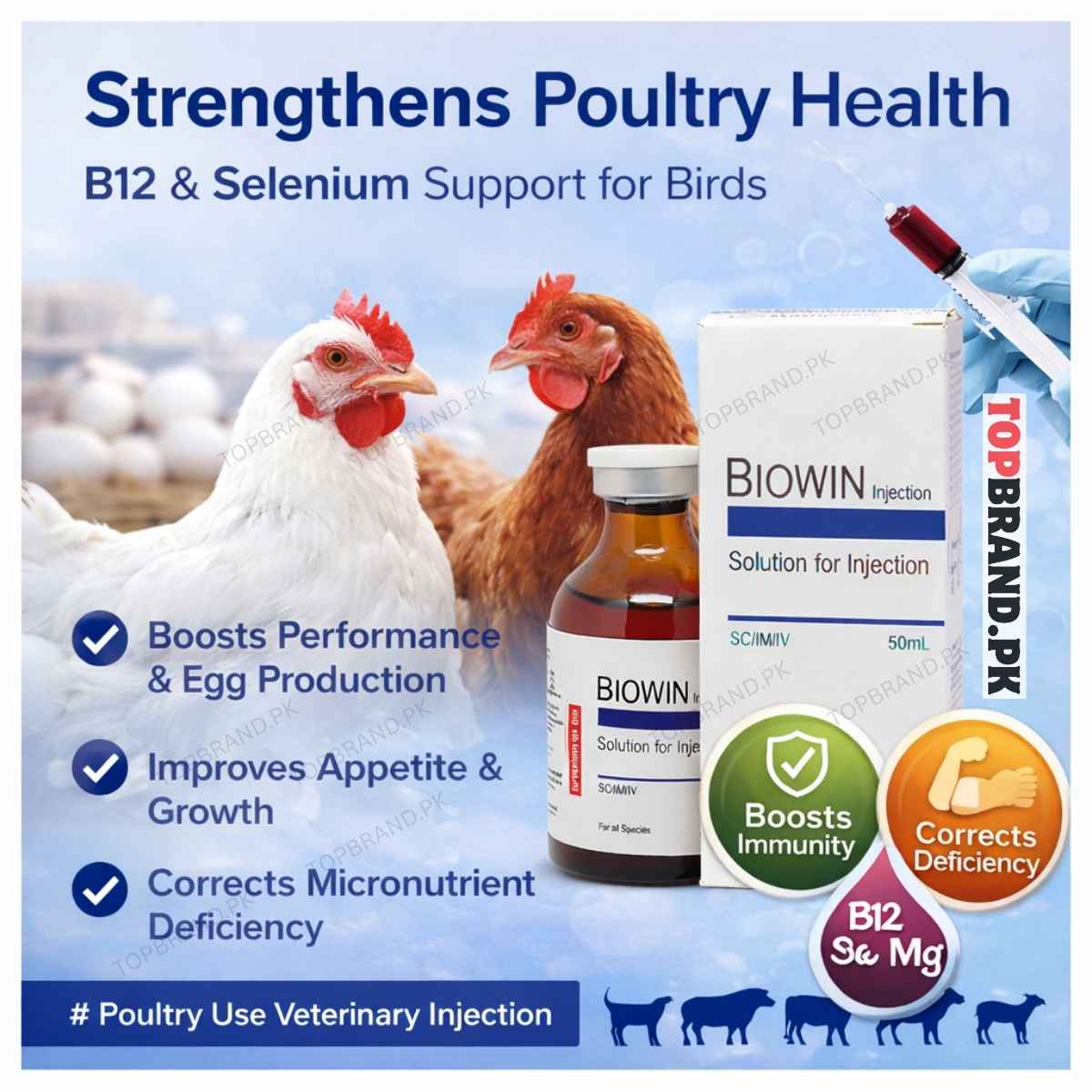 Biowin 50ml  Veterinary Vitamin B12, Selenium & Metabolic Support For Top  Brand