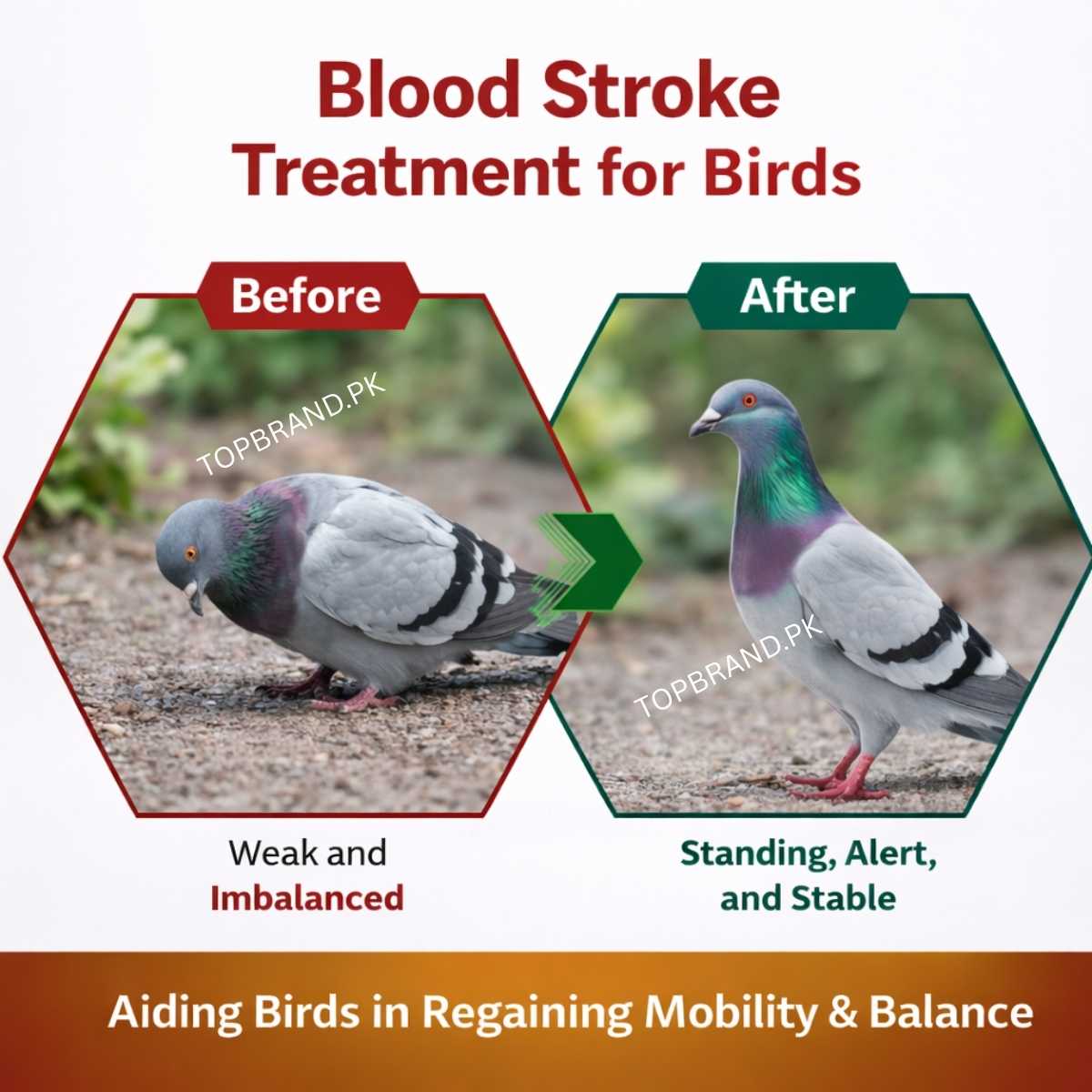 Blood Stroke - Laqwa Nill