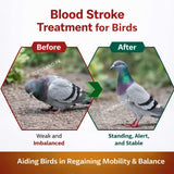 Blood Stroke - Laqwa Nill