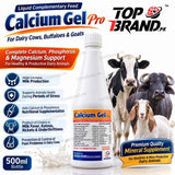 Xperian Pharma Calcium Gel Pro veterinary calcium Supliment  Pakistan  Propylene Glycol  Phosphoric Acid for cows buffaloes goats Liquid calcium feed for dairy animals goat sheep calcium tonic Dicalcium Phosphate Dairy livestock mineral feed supplement calcium supplement for cows Calcium supplement for buffaloes Calcium Propionate Calcium phosphorus supplement for cows Calcium phosphorus magnesium animal feed 
Calcium Lactate Calcium Gluconate  Calcium Gel Pro calcium bypass fat 84