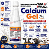 Xperian Pharma Calcium Gel Pro veterinary calcium Supliment  Pakistan  Propylene Glycol  Phosphoric Acid for cows buffaloes goats Liquid calcium feed for dairy animals goat sheep calcium tonic Dicalcium Phosphate Dairy livestock mineral feed supplement calcium supplement for cows Calcium supplement for buffaloes Calcium Propionate Calcium phosphorus supplement for cows Calcium phosphorus magnesium animal feed 
Calcium Lactate Calcium Gluconate  Calcium Gel Pro calcium bypass fat 84