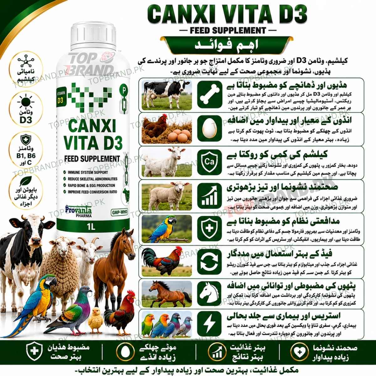 CANXI VITA D3 1 litter