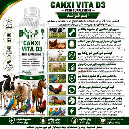 CANXI VITA D3 1 litter