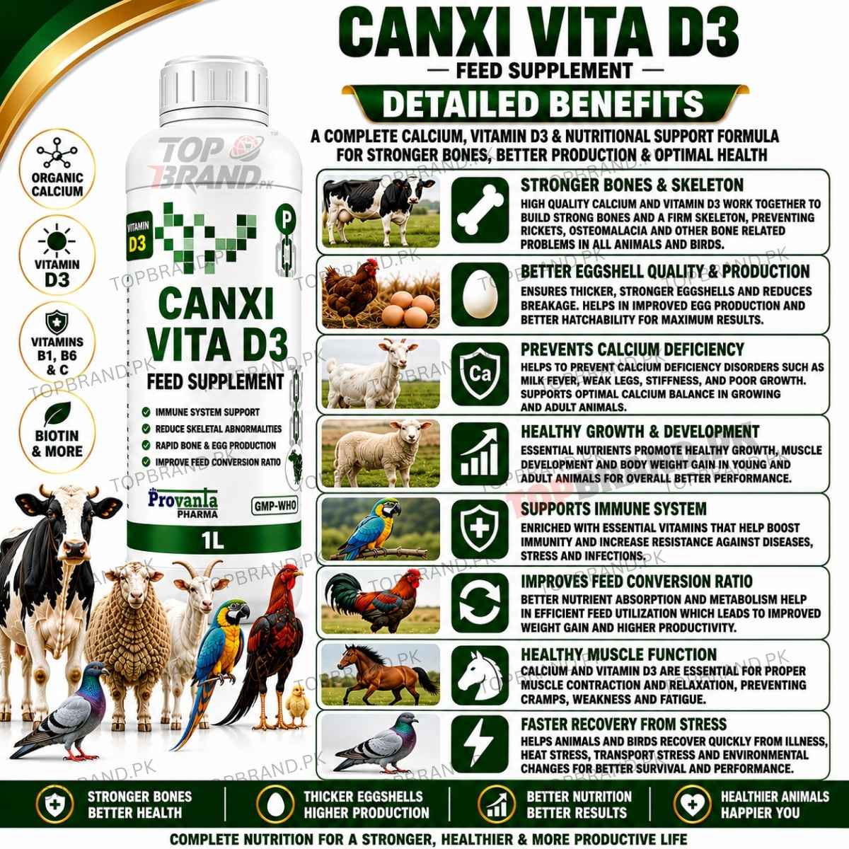 CANXI VITA D3 1 litter