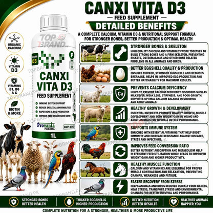 CANXI VITA D3 1 litter