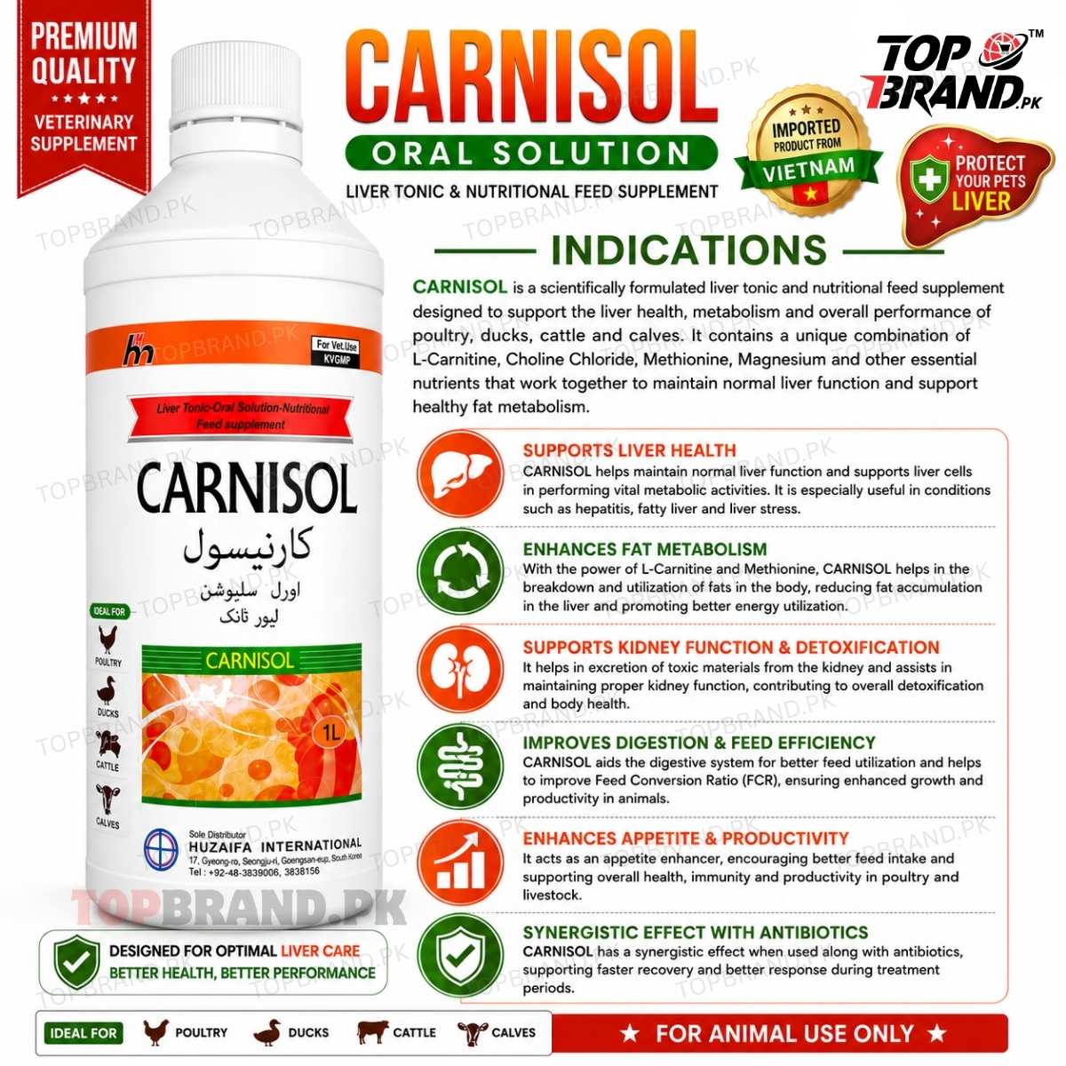 l carnitine liver disease Role of in Non-alcoholic Fatty and Other Related Diseases: An Update Clinically beneficial effects of non-antidiabetic L-carnitine can promote liver regeneration