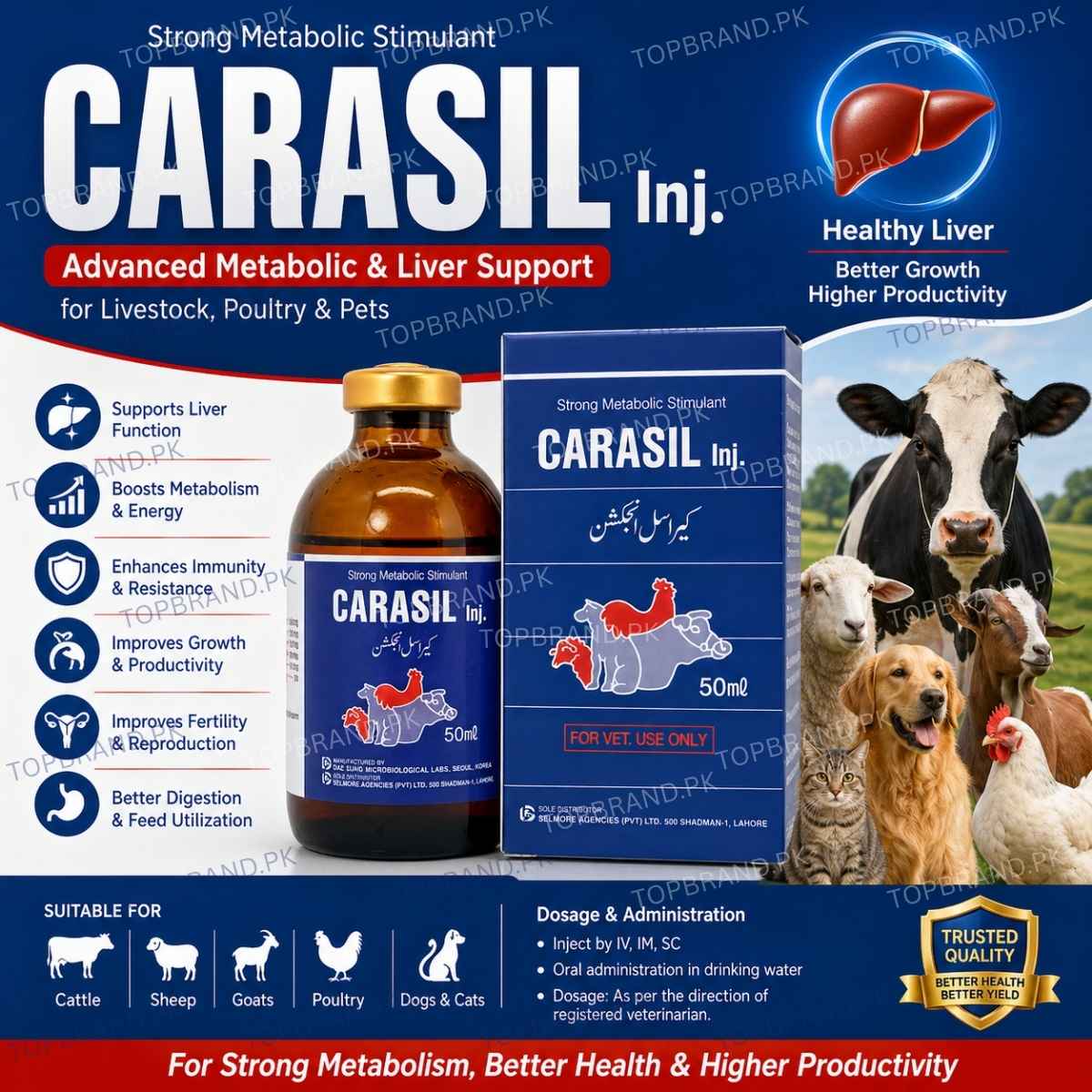 CARASIL Injection 50ml
