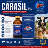 CARASIL Injection 50ml