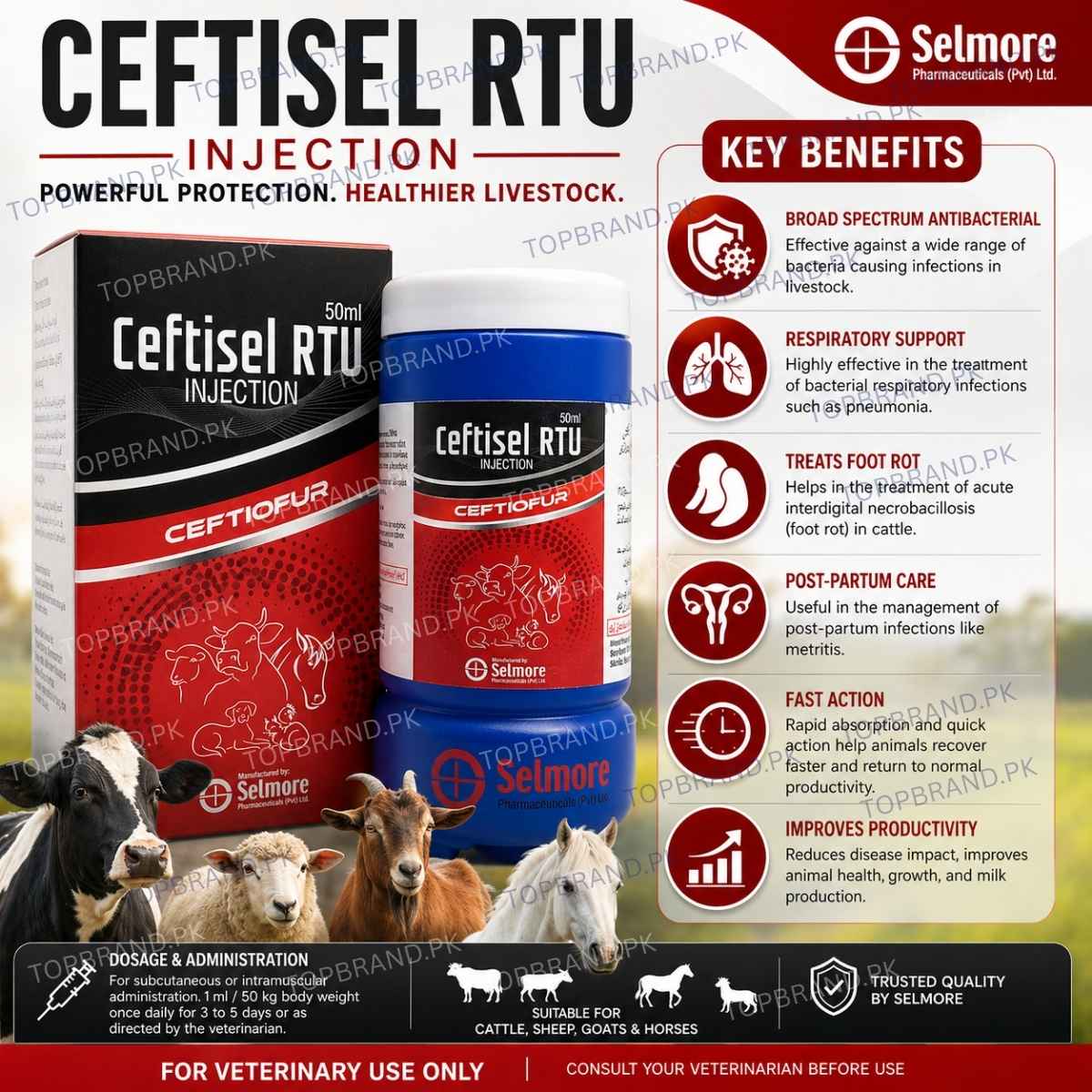 Ceftisel RTU Injection 50ml – (Ceftiofur Hydrochloride)