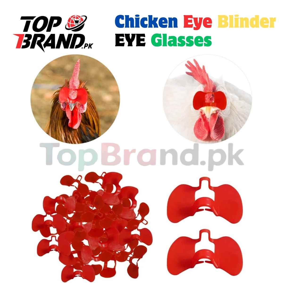 Chicken Eye Blinder | Chicken Eye Glasses