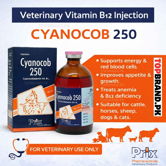 Cyanocob 250 Injection 100ml (Cyanocobalamin Vitamin B12 Veterinary)