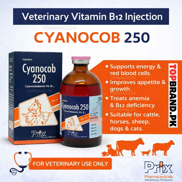 Cyanocob 250 Injection 100ml (Cyanocobalamin Vitamin B12 Veterinary)– Top  Brand
