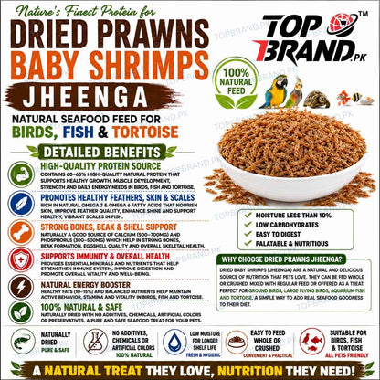 Dried Prawns Baby Shrimps Jheenga