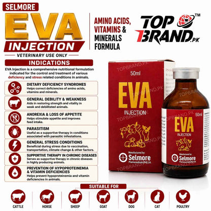EVA Injection by Selmore