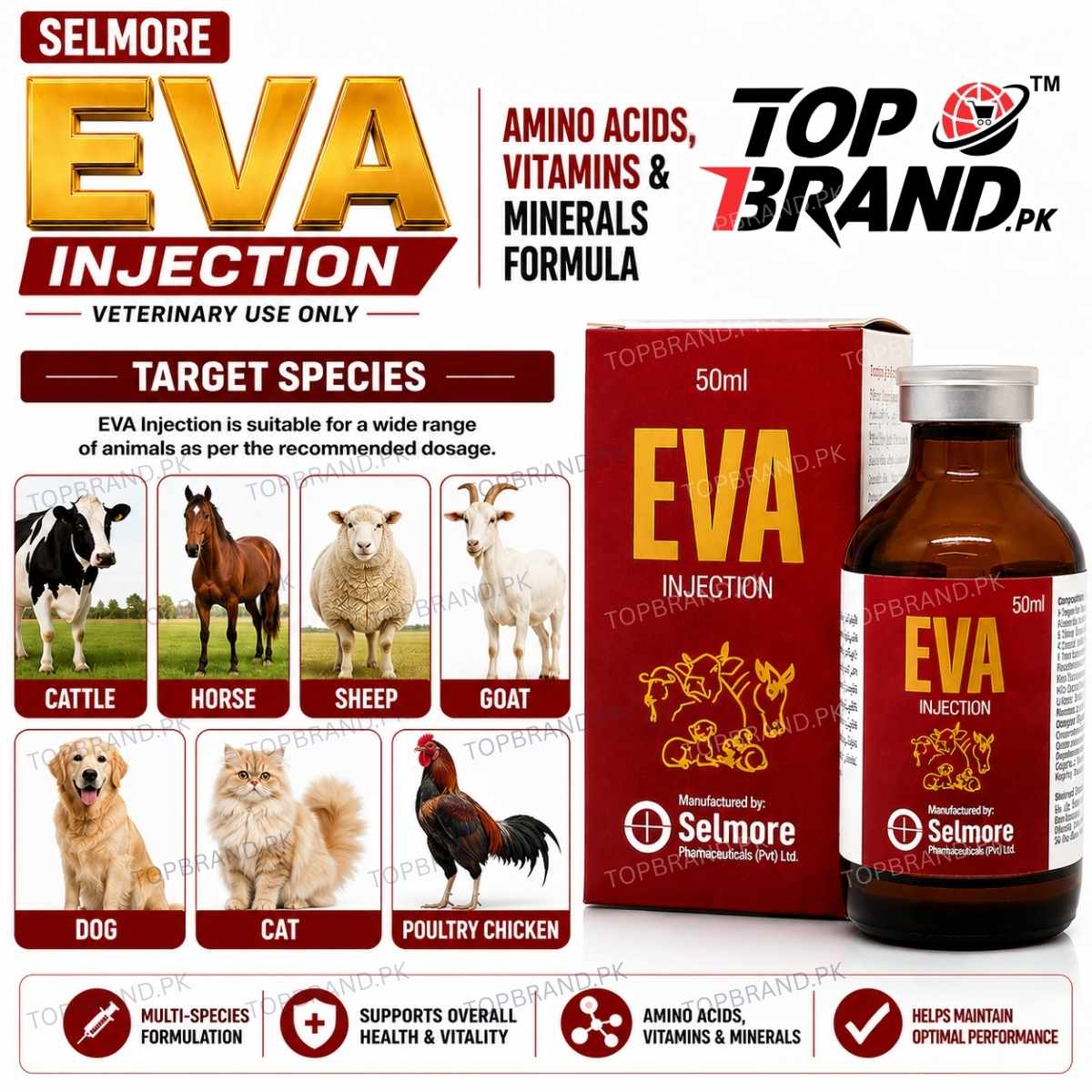 EVA Injection by Selmore
