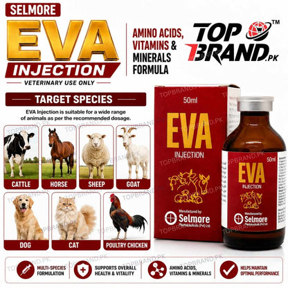 EVA Injection by Selmore
