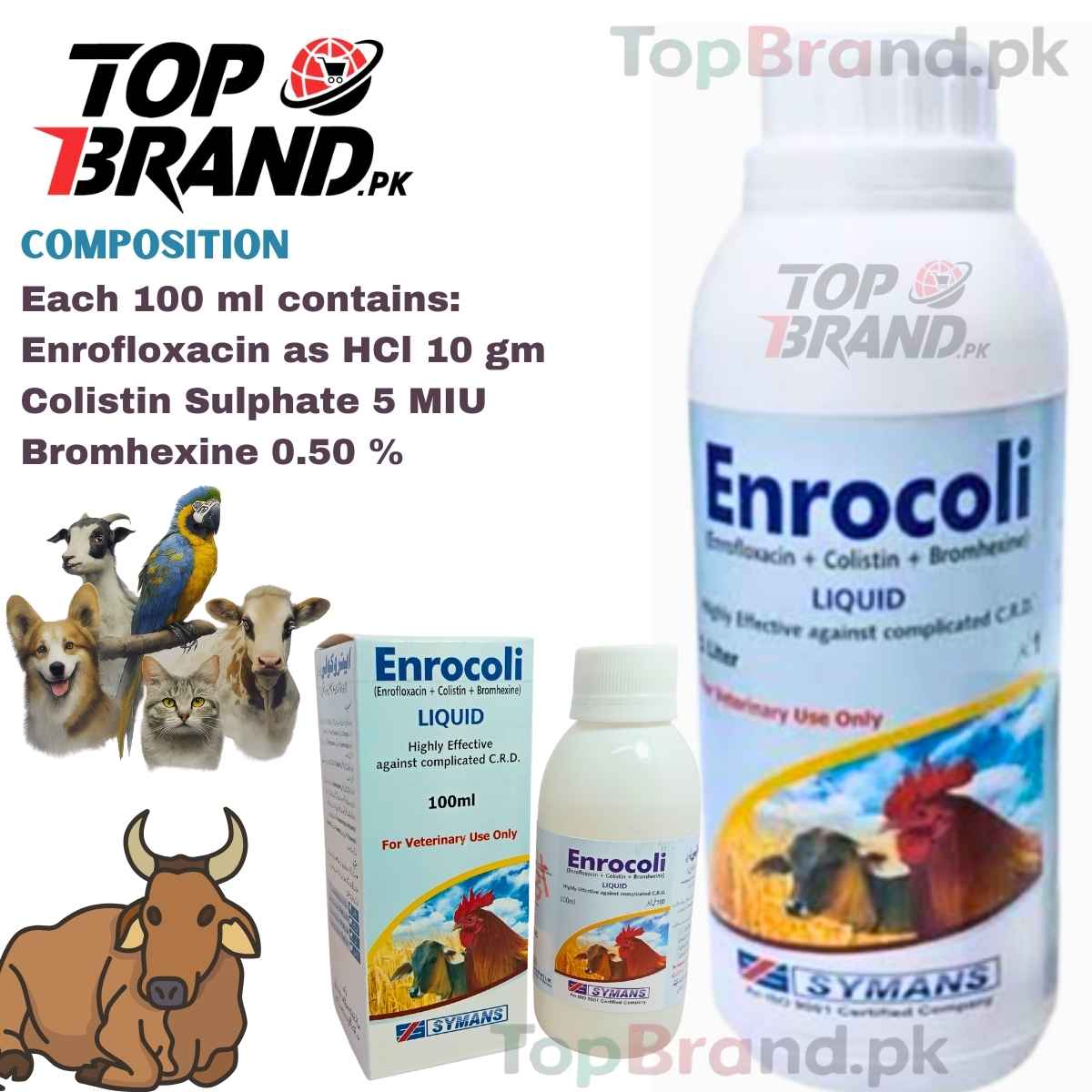 Enrocoli (Enrofloxacin + Colistin Sulphate + Bromhexine) Treats CRD, Colibacillosis, Pneumonia & More