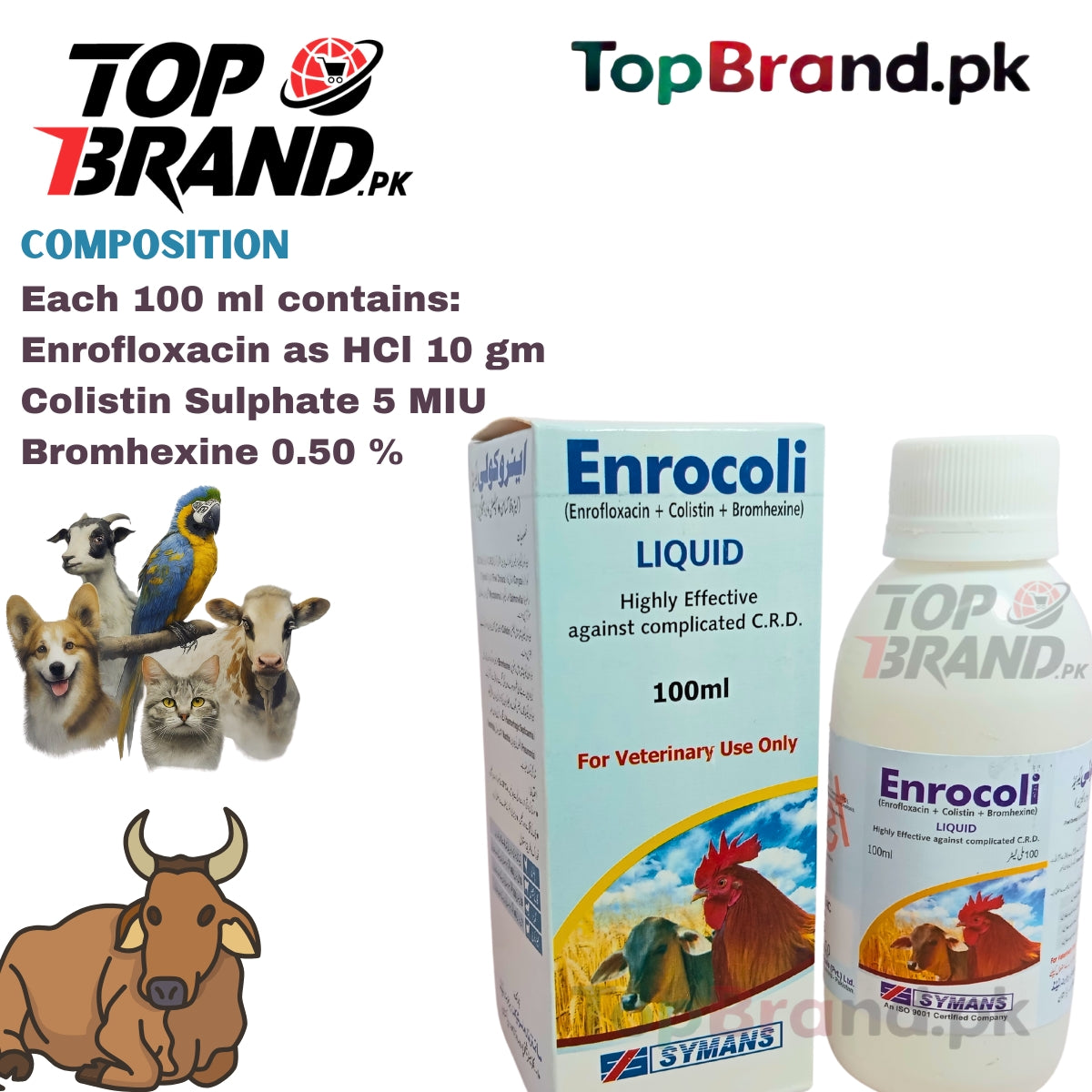 Enrocoli (Enrofloxacin + Colistin Sulphate + Bromhexine) Treats CRD, Colibacillosis, Pneumonia & More
