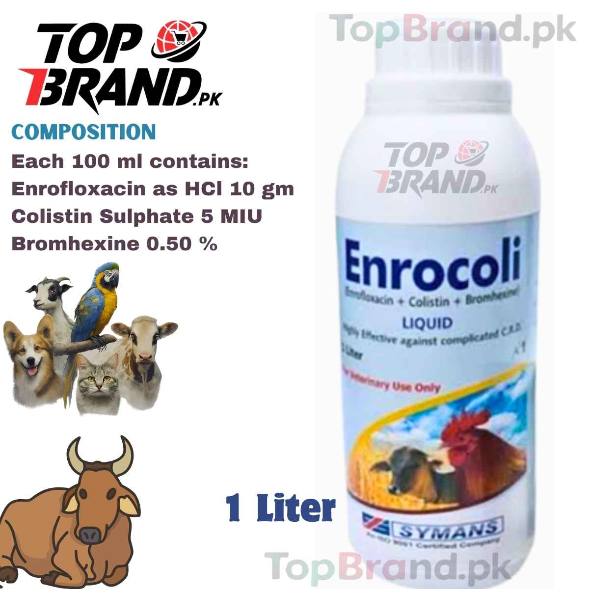 Enrocoli (Enrofloxacin + Colistin Sulphate + Bromhexine) Treats CRD, Colibacillosis, Pneumonia & More