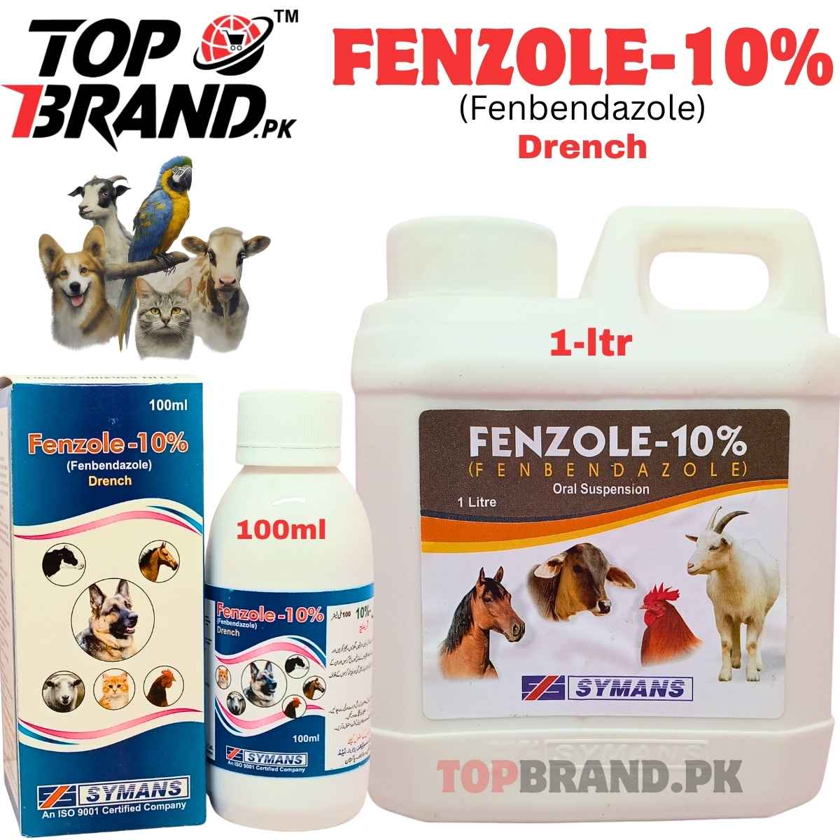 cat deworming solution fenbendazole